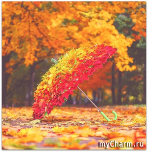 Фотофлэшмоб. Этап 127. Тема: "Зонты, зонтики". Итоги голосования.