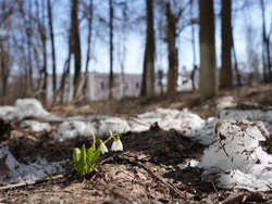 ������� �����!