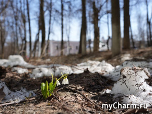 ������� �����!