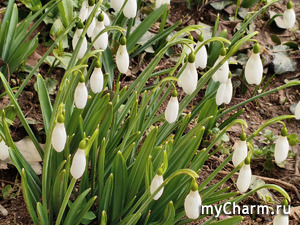 ������ ������!