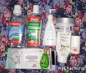 Riglis. ������ �������� �� ������� 2026 ����.