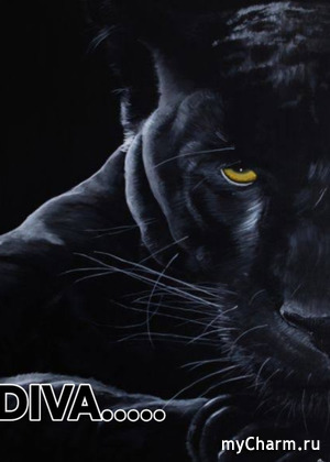 ������������ DIVA DIV��� �� UNGARO.. � ����� ����������� � ����� 80�..